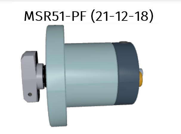  MSR51-PF-21-12-18 - preview
