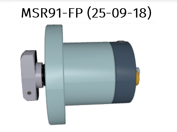  MSR91-FP-25-09-18 - preview